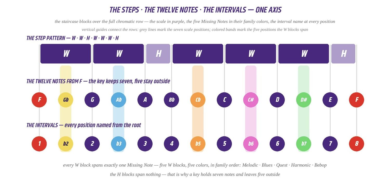 The steps, the twelve notes and the intervals aligned on one axis